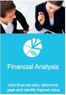Financial Analysis The Financial Analysis lets you view your financial data in a way that identifies gaps in your business.