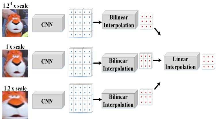 Bilinear interpolation was first proposed by [26] for the implementation of a spatial transformer network and it was then employed by [28] in a ROI align scheme for object detection applications.