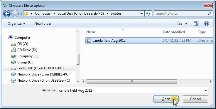 From the File List pane (right hand side of the window) select the file to upload. Click Open.