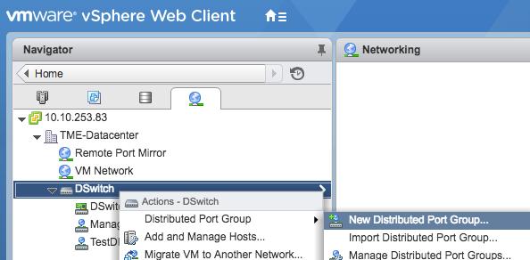 3. In the New Distributed Port Group window, type a name for the port group and click