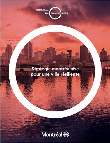 Amplifying Montréal s Urban Resilience Building Process Through Collaborative Work with