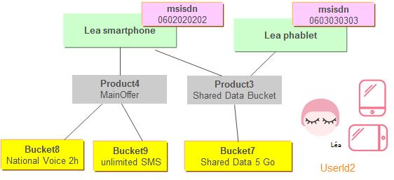 With her smartphone, Lea has used 60 minutes on the voice bucket, 123 sms on the SMS bucket and 1.0 Go on the 3.0 Go used in the data shared bucket. She also has used 2.0 Go with the phablet on the 3.