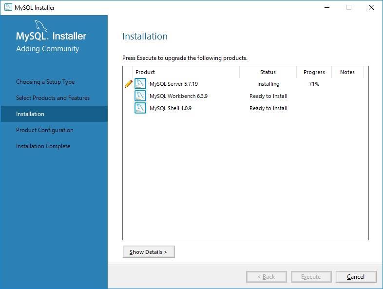 Installer will update the status against each component as it installs or downloads required components.