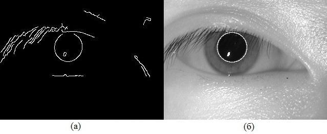 Figure 4. Example of pupil boundary determination for the image depicted in figure 1: (a) - edge points image; (b) - method results. 4.2.