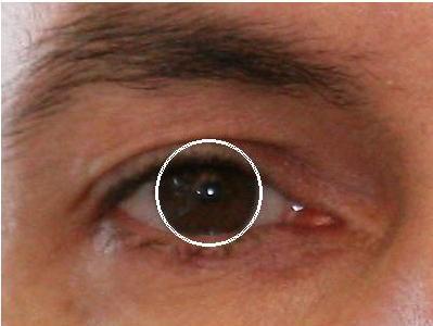 5.4 Upper Eyelid Localization In non-cooperative
