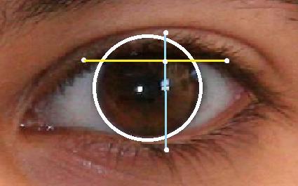130 Many methods are used by researchers to localize the eyelid of the iris (e.g.