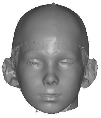Chapter 7 Figure 60: 3D surface scan of a boy.