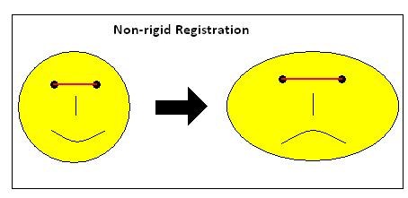 Chapter 4 Figure 16: An illustration of the difference between rigid/non-rigid registrations. 4.7 Thin-Plate Splines Thin-plate splines (TPS) are a non-rigid transformation which is introduced for statistical shape analysis.