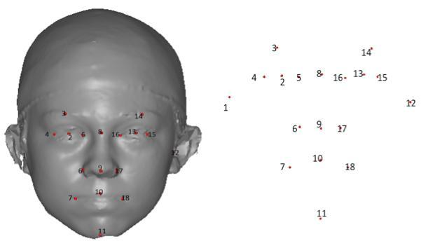 Chapter 5 5.2 Material In this chapter, manually placed landmarks for 30 3D facial surface scans are used. The landmarks are anatomically localized on the face surfaces.