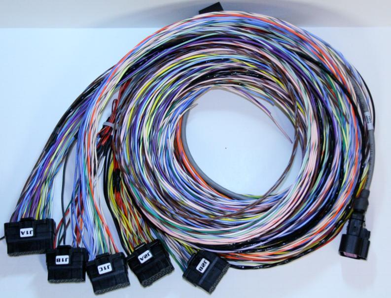 4000/4001 9 and 24 Flying Lead Harness w/main