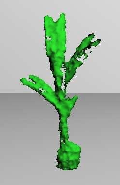 We furthermore assumed that accurate 3D models incorporating the deformation parameters are known. In this work, we go a step further and also learn the 3D model of the objects.