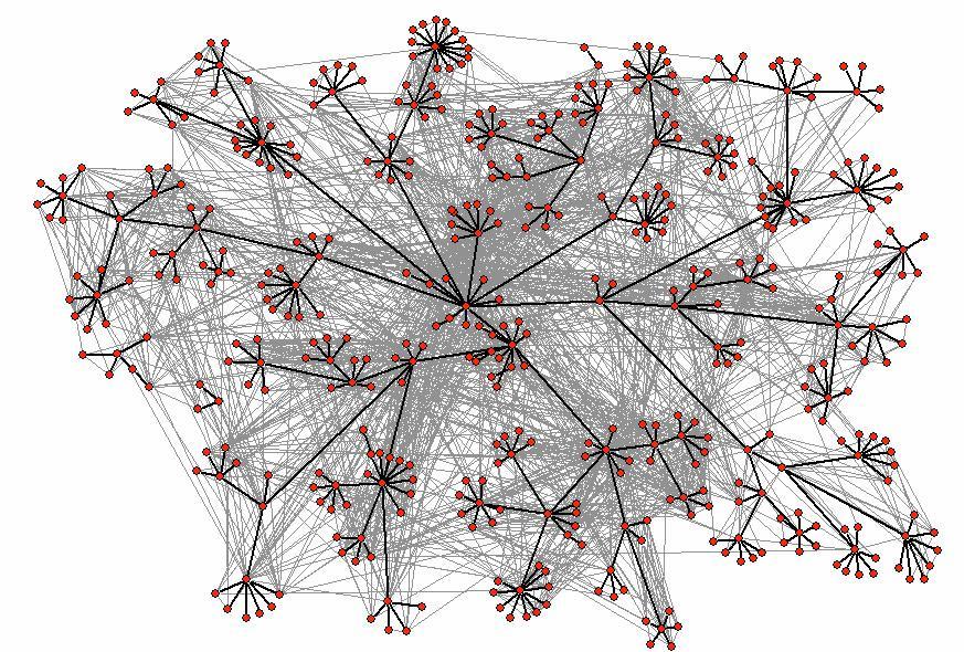 Social, Information, and Routing Networks: