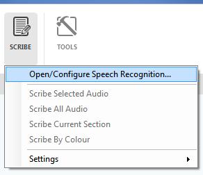 Text to Speech Tool Audio NoteTaker can read back aloud text in the reference and text pane.