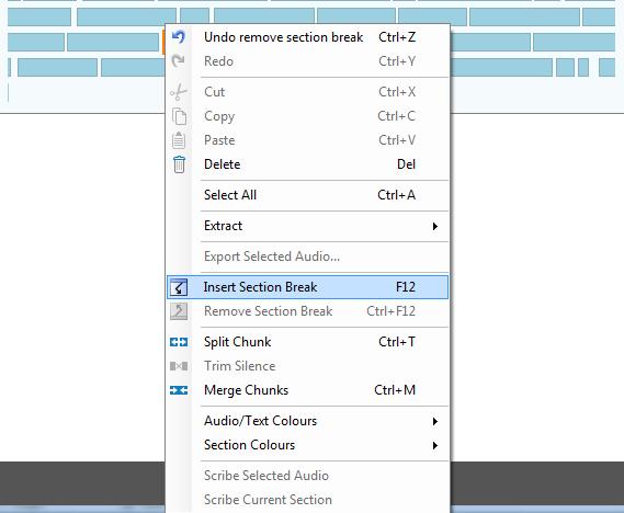 You can also add in section breaks by right clicking within the audio pane and choosing