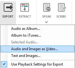 This lets you specify just a single piece of audio to export into a single file, rather than the entire