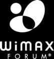 Austria The WiMAX Forum Network Working Group ES Contact: dirk.