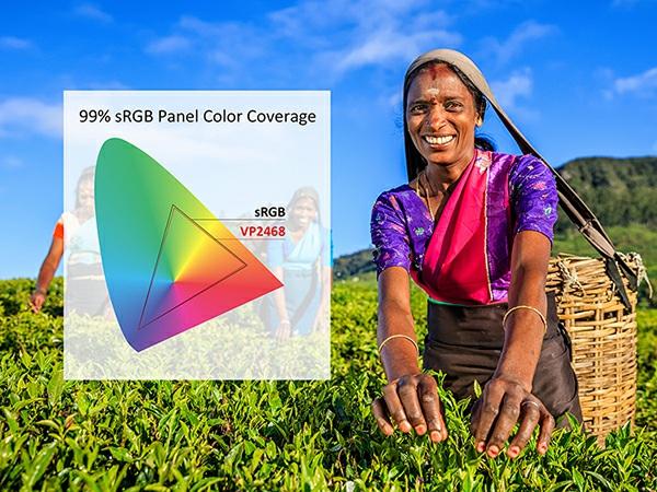 A Colour Gamut That Meets Industry Standards With 100% srgb panel colour coverage capability, the VP2468 reproduces richer and more vivid colours, ensuring that images meet or exceed