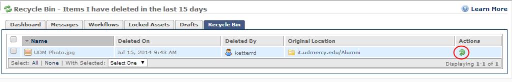 Under Quick Links, select Recycle Bin.