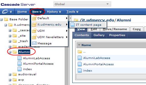Creating a Page Select the directory that you would like your new pages to be