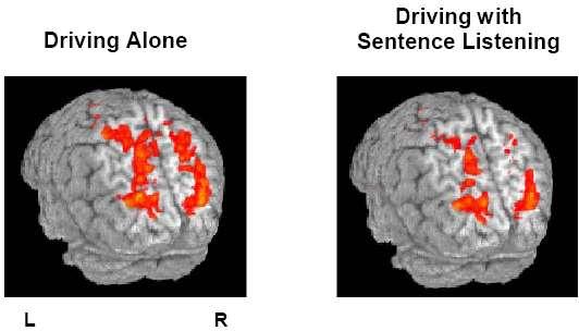 WHAT WE KNOW ABOUT CELL PHONE USE WHILE DRIVING A Decrease in Brain Activation