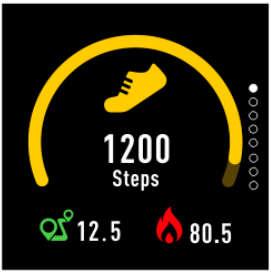 Record steps/calories/distance Shows steps taken, calories burnt, and