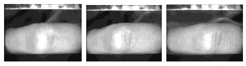 4. RESULT AND DISCUSSION This paper presents a multimodal biometric identification system using Finger Knuckle Print and Iris. Two different databases (FKP and Iris) are used in the proposed approach.