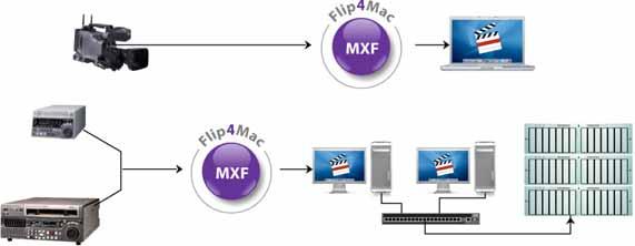 What is MXF Import?