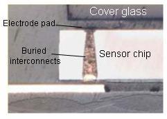 CMOS Sensor