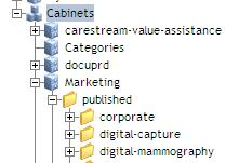 p.6 The DAM File Structure The content within our Marketing Cabinet is organized under a main folder called published This