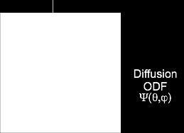 2000, 2005] 3D diffusion propagator P(r,θ,φ) Diffusion ODF