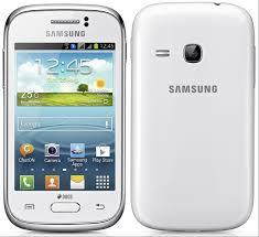 Samsung Galaxy Young Android Jellybean 4.1 3.