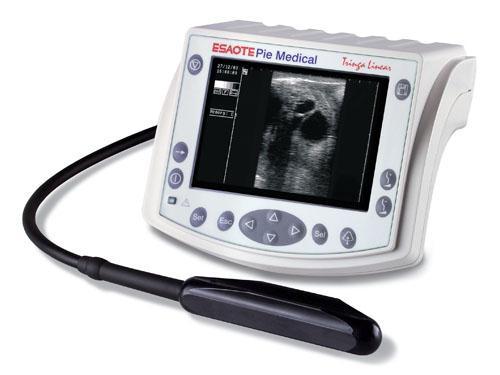 Veterinary Ultrasound Case Study 2: TFT The challenge Why TFT Why Densitron Scanned images need to be of high definition, black and white, and visible in any ambient light