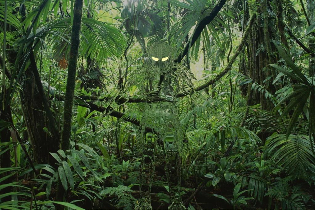 The Jungle Ecosystem