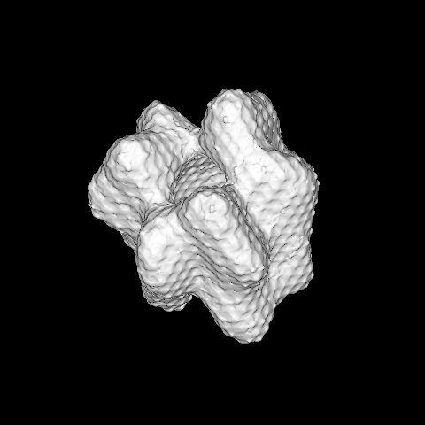 Implicit Surface of Complex DnaB DnaC After Reconstruction In the field of electron microscopy of biological macromolecules,