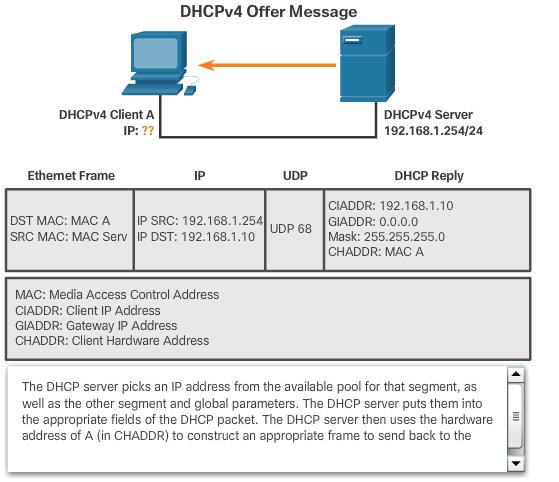 DHCPv4 Operation DHCPv4
