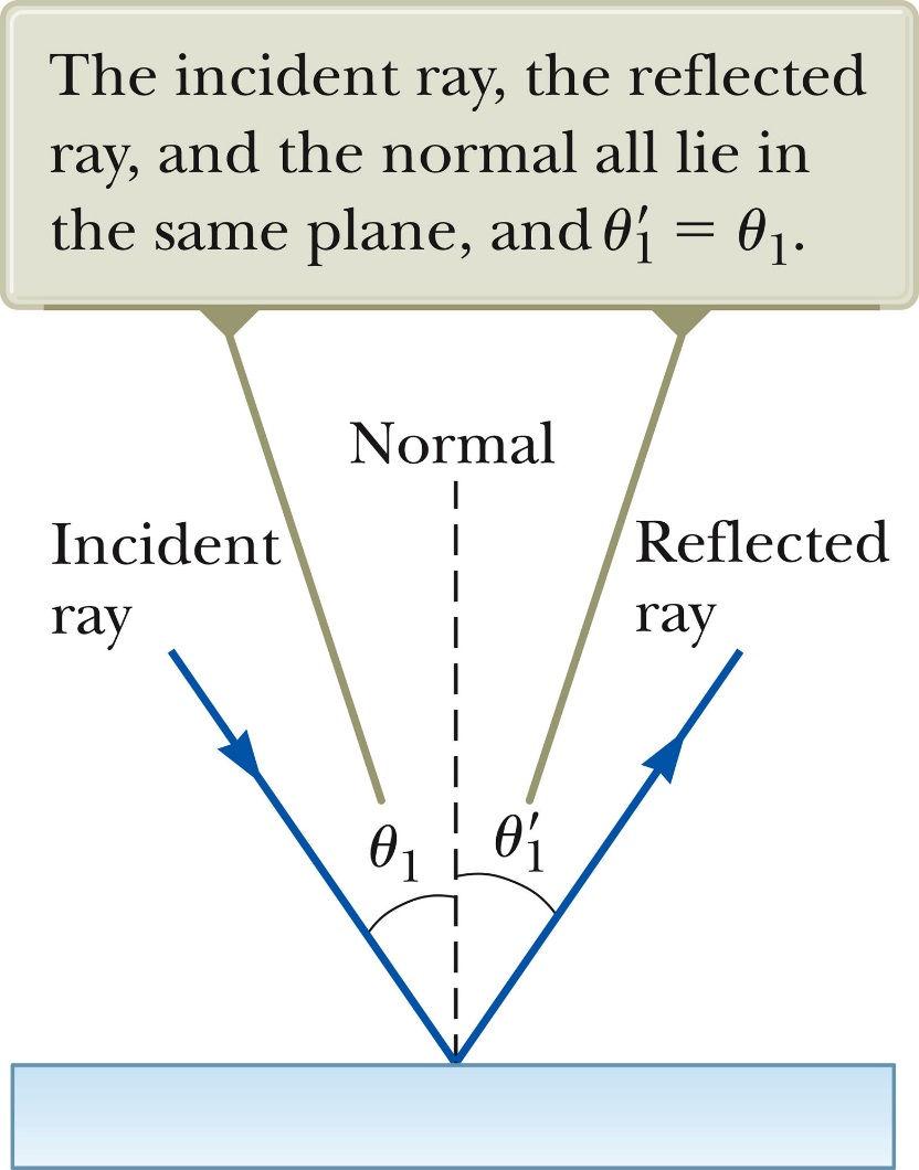 Law of Reflection The normal is a line perpendicular to the surface. It is at the point where the incident ray strikes the surface. The incident ray makes an angle of θ 1 with the normal.