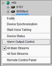 Select Alarm Output Control to turn on or off the alarm output, and define alarm output name.