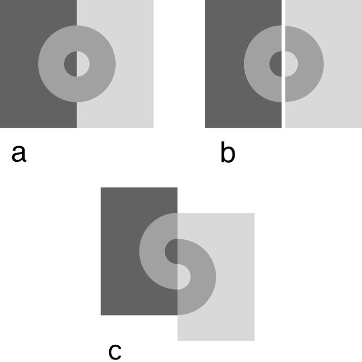 Influences of grouping Grouping influences other perceptual mechanisms such as lightness