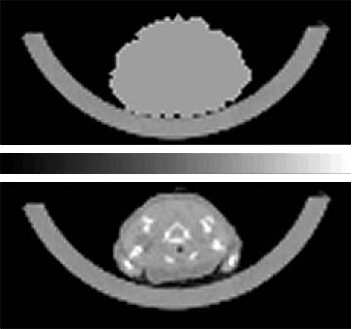 5. image obtained with the (top) analytic method and (bottom) CT method of a transverse slice near the heart of the mouse. The color palette (middle) is used for both images.