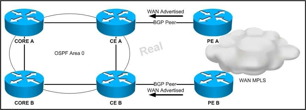 The design is being proposed for use within the network. The CE devices are OSPF graceful restart-capable, and the core devices are OSPF graceful restartaware.