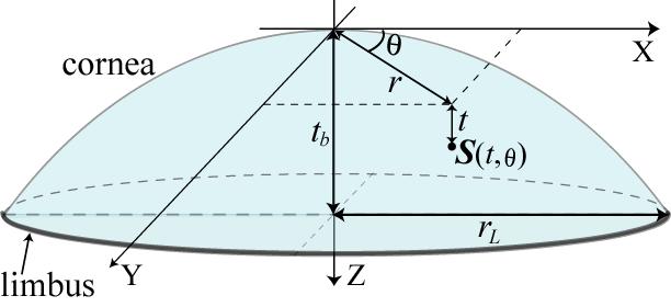Geometric Model of the