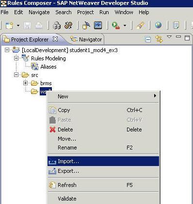 Expand the Rules project and choose import from the context menu of the wsdl folder you ll find underneath the src folder.