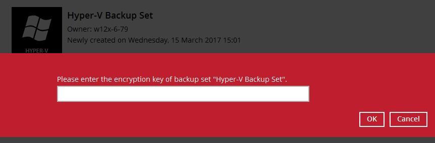 3. If encryption key was set at the time when the backup set was created, enter the encryption key when you see the following prompt. 4.