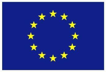 European Union flag and EYW website address Visual Identity Manual - 2015 To acknowledge that the EYW is an initiative of the European Union, the visual identity has to include the European