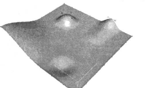 turlardir (polugonal meshes). Poligonal turlar juft-jufti bilan uchlarni tutashtiruvchi qirralar sifatida aniqlanadi.