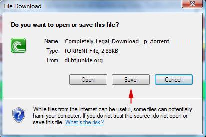 6.5 BitTorrent Your BOSSNAS122 can download and upload Torrent files, however your BOSSNAS122 cannot go onto the internet