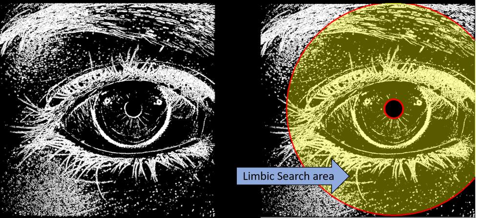 23 ary search area. This is the area that the polar transform seeks to unwrap.the threshold gradient image is shown on the left and the labeled limbic search area on the right. Figure 4.