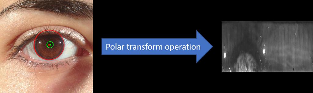 27 the segmentation stage as input to the polar transform operation.