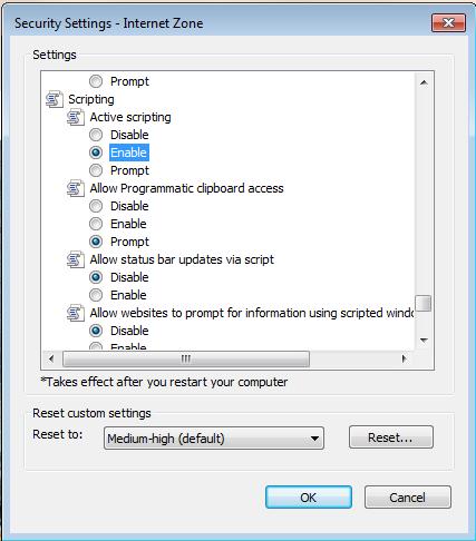 4. In the Security Settings Internet Zone dialog box, click Enable for Active Scripting