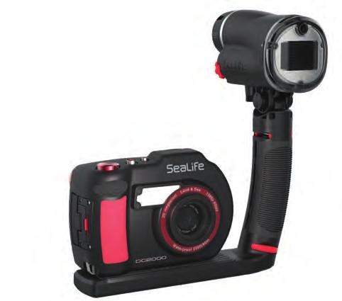 The set includes a Flex-Connect Single Tray, Grip, Sea Dragon Flash, and the DC2000 underwater camera.